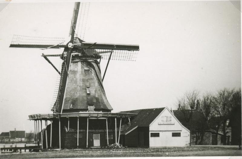 Foto 1124186886